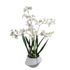 Oncidium In Pot Faux TRA0124 Main