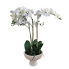 Faux White Orchid In Pot