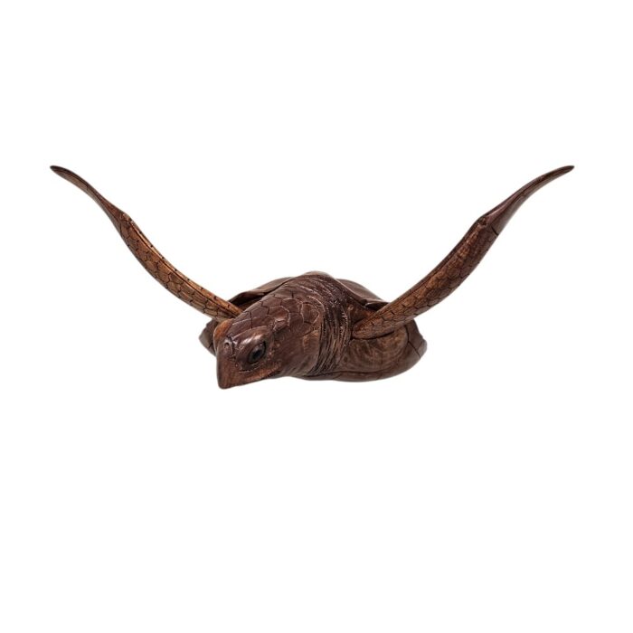 Bust Turtle Wall Hanging BGL0578 Front Main