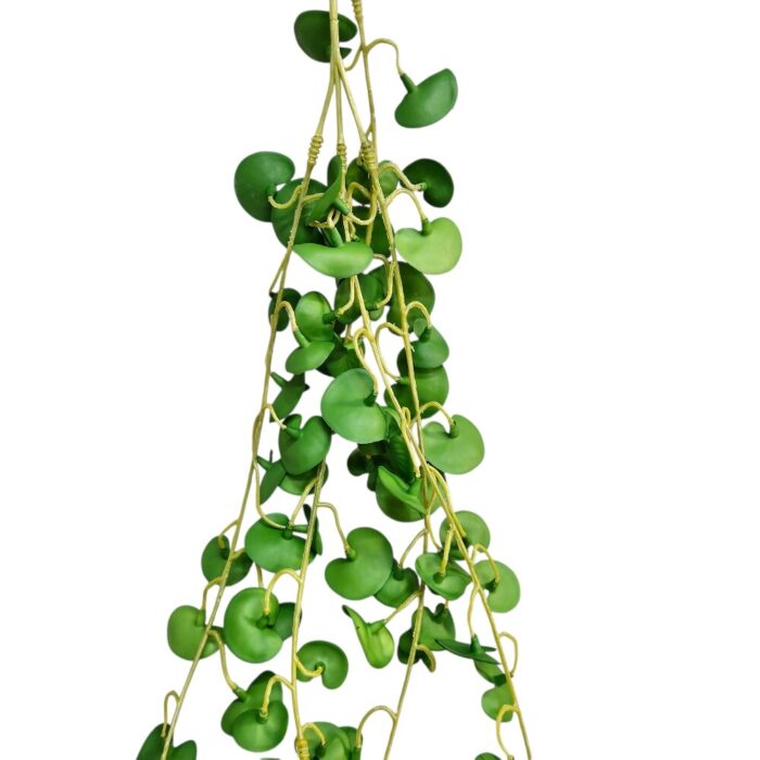 Coin Leaf TRA1062 Close