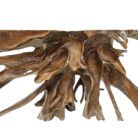 root wood scoop table
