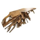root wood scoop table
