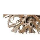 root wood scoop table