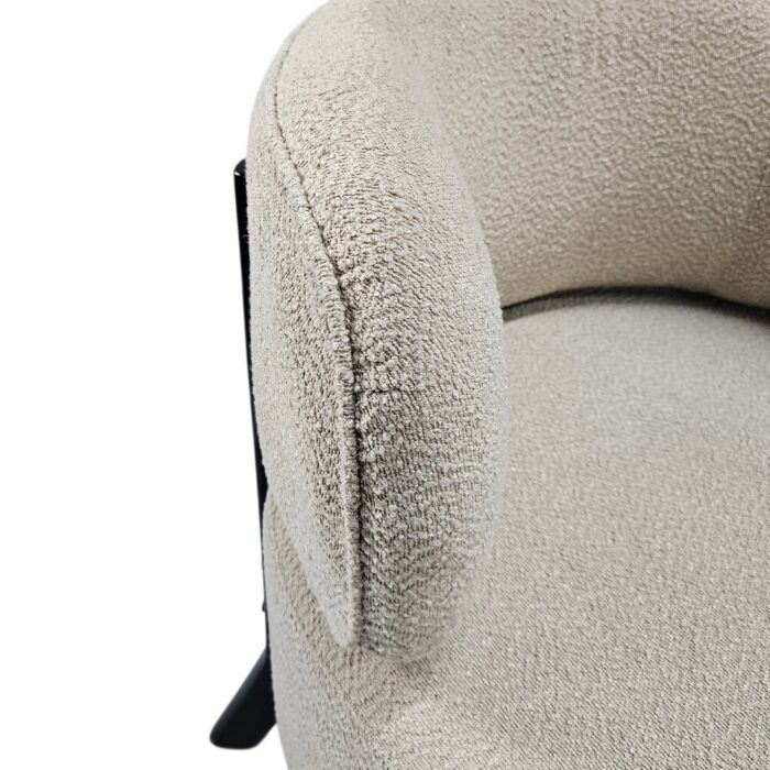 Devon Coco Occasional Chair Main JET9170C4 Close