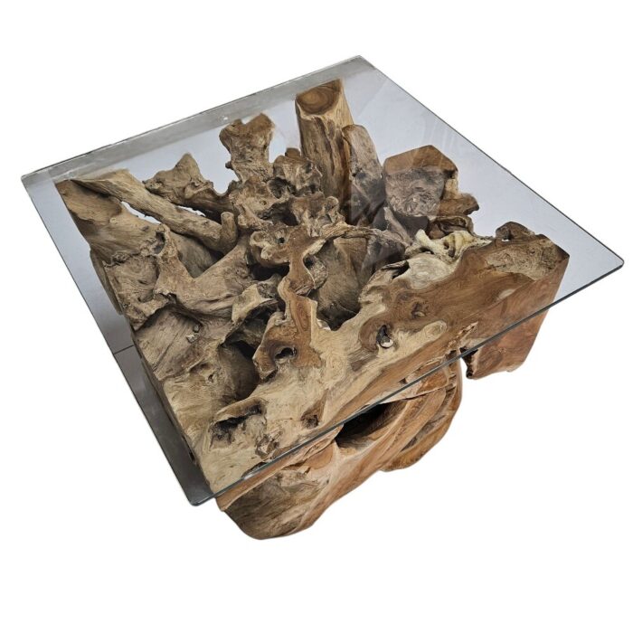 Erosi Root Coffee Table INJ4650A19 Top Side Erosi Root Coffee Table INJ4650A19 Top Side