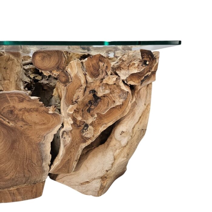 Erosi Teak Root Coffee Table INJ4650A18 Close rustic teak root coffee table