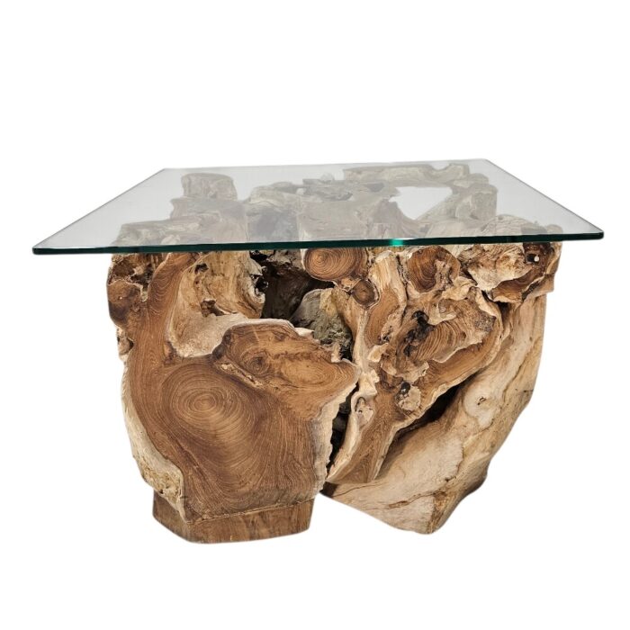 Erosi Teak Root Coffee Table INJ4650A18 Front rustic teak root coffee table