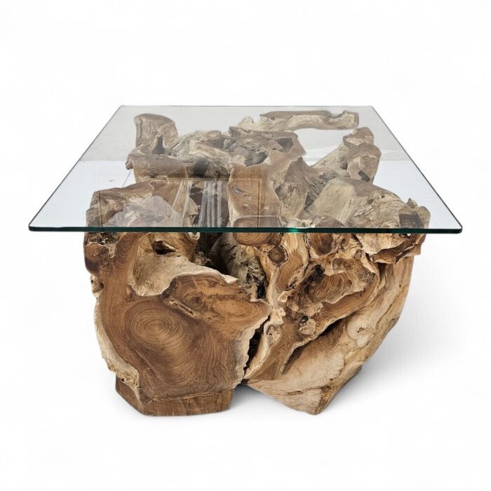 Erosi Teak Root Coffee Table INJ4650A18 Main rustic teak root coffee table with glass