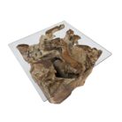 Erosi Teak Root Coffee Table INJ4650A18 Top Side