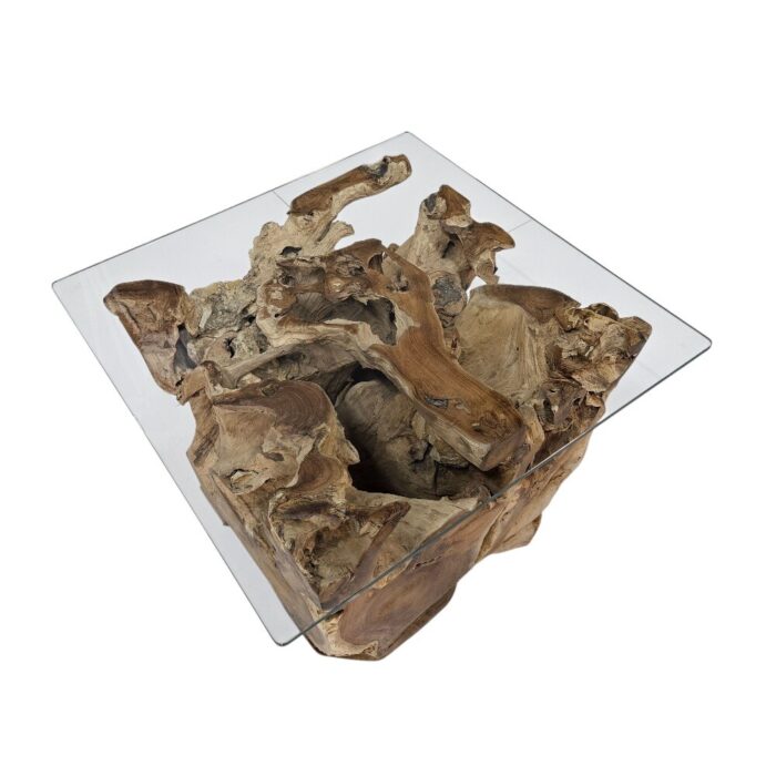 Erosi Teak Root Coffee Table INJ4650A18 Top Side Erosi Teak Root Coffee Table INJ4650A18 Top Side