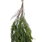 Faux Feather Fern TRA1055 Close Up View