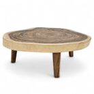 Free Flow Suar Coffee Table INJ3669 Main