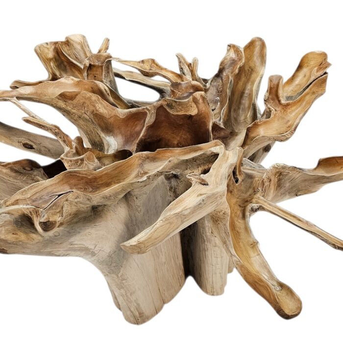 Root Dining Table INJ0770A9 Close