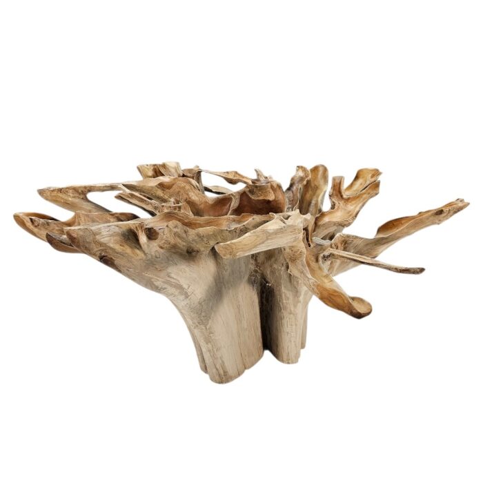 Root Dining Table INJ0770A9 No Glass