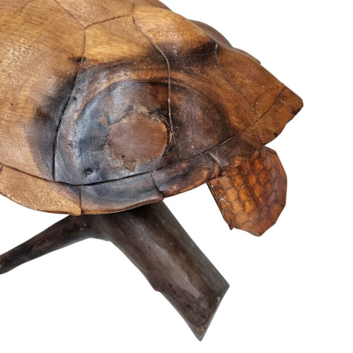 Swimming Turtle With Stand BGL0106 Close Back