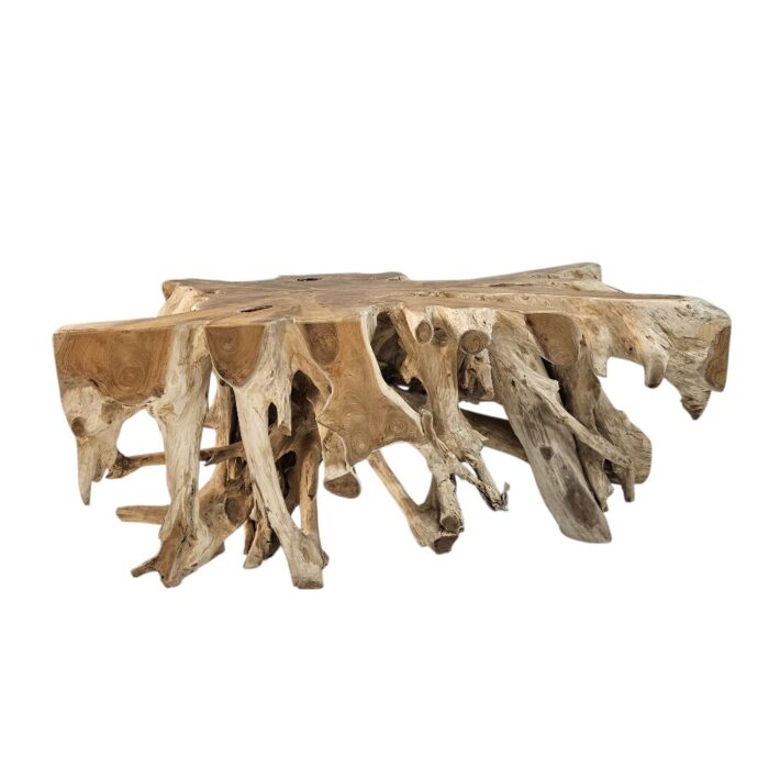 Teak Root Block Coffee Table INJ3080 Front Teak Root Block Coffee Table