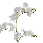 White Orchid Faux TRA0123 Close Up