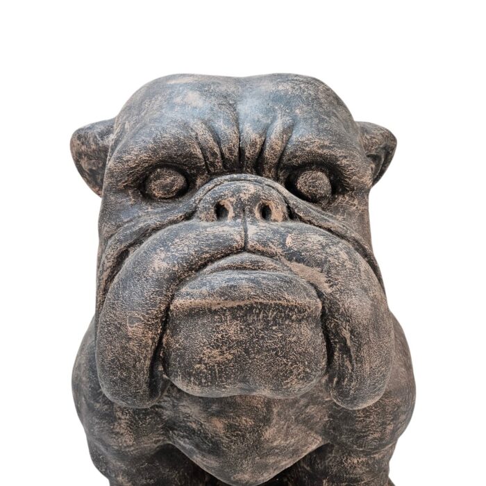 Bulldog Large GRC BUK8100 Close Front