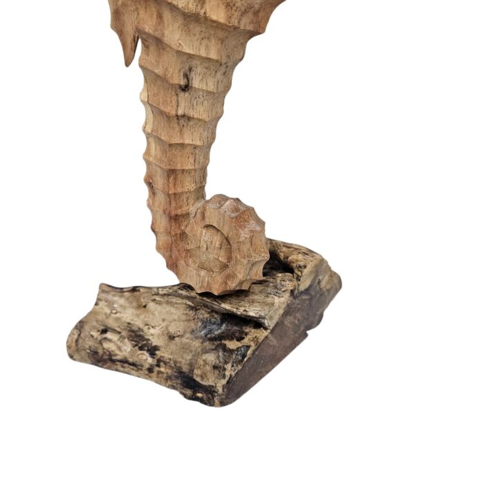 Carved Seahorse BGL0605 Close Bottom Carved Seahorse BGL0605 Close Bottom