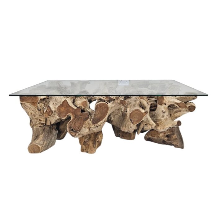 Erosi Teak Root Coffee Table Rectangle INJ4205A3 Front