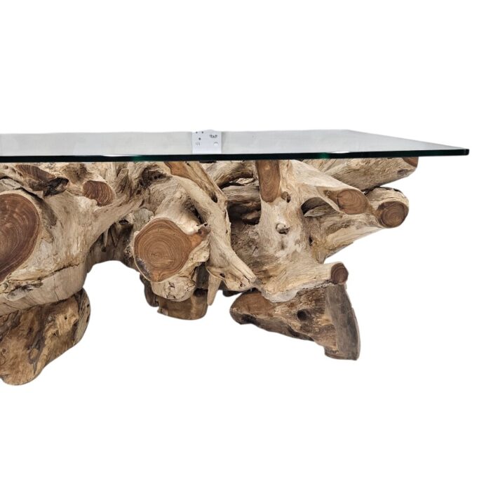 Erosi Teak Root Coffee Table Rectangle INJ4205A3 Front Close