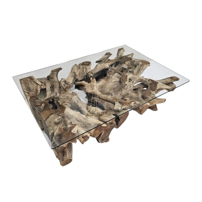 Erosi Teak Root Coffee Table Rectangle INJ4205A3 Front Side