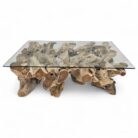 Erosi Teak Root Coffee Table Rectangle INJ4205A3 Main