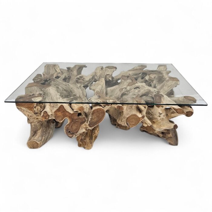 Erosi Teak Root Coffee Table Rectangle INJ4205A3 Main