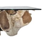Erosi Teak Root Coffee Table Rectangle INJ4750A Close