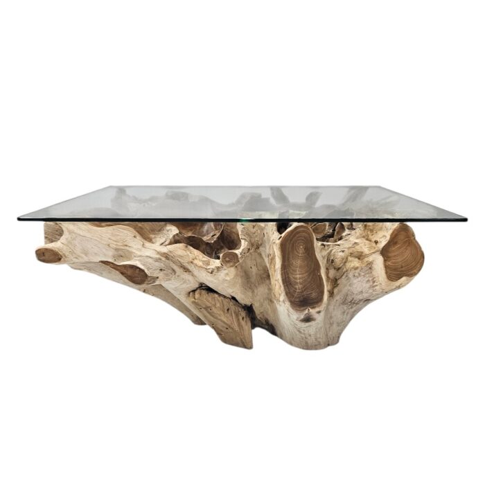 Erosi Teak Root Coffee Table Rectangle INJ4750A Front Erosi Teak Root Coffee Table Rectangle INJ4750A Front