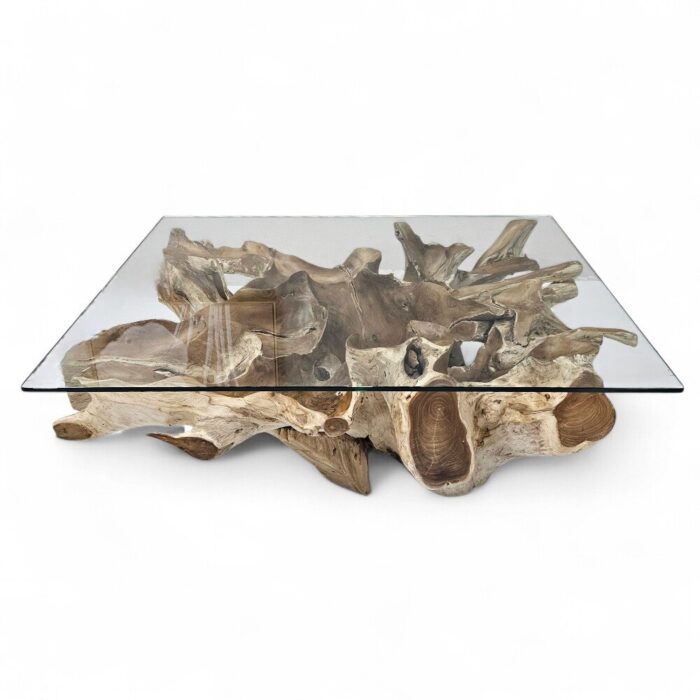 Erosi Teak Root Coffee Table Rectangle INJ4750A Main Erosi Teak Root Coffee Table Rectangle INJ4750A Main