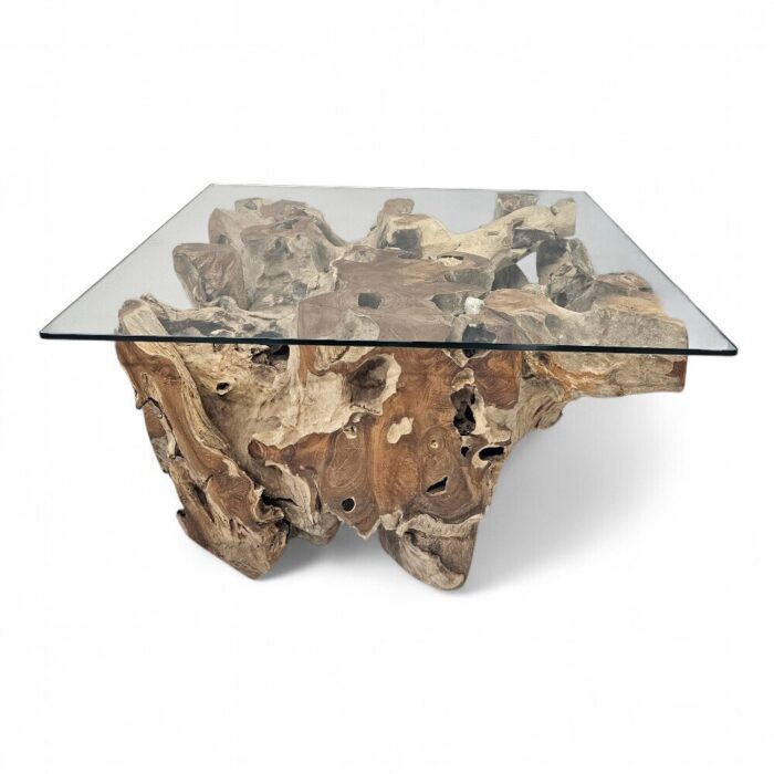 Erosi Teak Root Coffee Table Square INJ4606A8 Main Erosi Teak Root Coffee Table Square INJ4606A8 Main