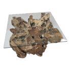 Erosi Teak Root Coffee Table Square INJ4606A8 Top