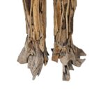 Teak Root Groot Sculpture KAB0001 Feet
