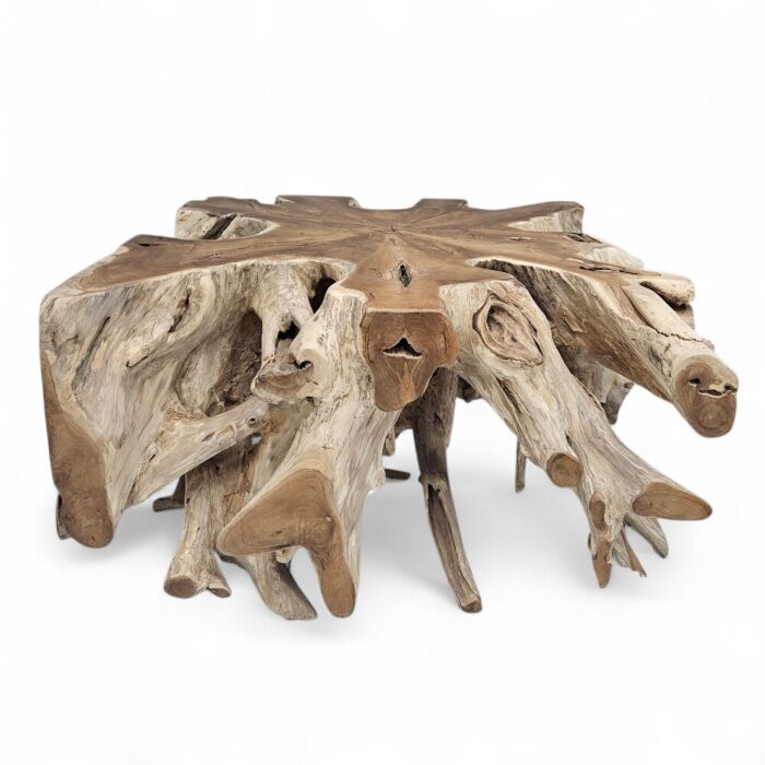 Teak Root Square Side Table Block INJ3150A9 Main Teak Root Square Side Table Block INJ3150A9 Main