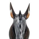 Zebra Wooden Mask Waves Wall Hanging GAL0906A 50cm Close Up