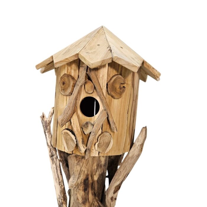 Bird-House-Teak-NJA9984-Close.jpg Bird-House-Teak-NJA9984-Close.jpg