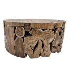 Root-Slice-Teak-Coffee-Table-NJA8065.jpg