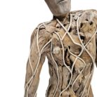 Scupture-Groot-Teak-NJA9932-Close-View-Arm.jpg