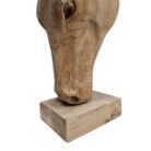 Teak-Horse-Head-NJA0788-Close-Up-Bottom.jpg
